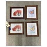 4 Pcs- Framed Nature Prints
