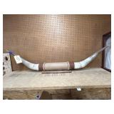 Mounted Longhorns on Wood Plaque 50"