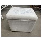 Styrofoam Ice Chest w/Plastic Eggs - Baby Dolls