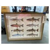 Framed Rare Trout Poster