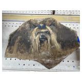 Painted Rock