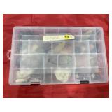 Rock Collection in Plastic Case