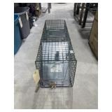 Animal Trap