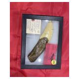 Dinosaur Tooth