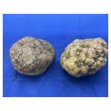 2 Geodes from Colorado