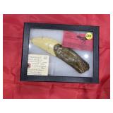 Dinosaur Tooth