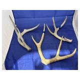 3 - Deer Antlers