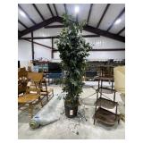Ficus Tree w/String of Christmas Lights 75"H