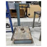 Triner Platform Scale