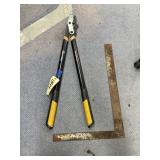 Square & Fiskars Limb Loppers