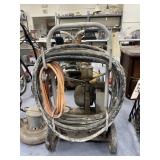 Pneumatic Paint Sprayer