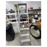 Aluminum 6ft Ladder