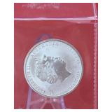 1/2 oz Silver Rounds