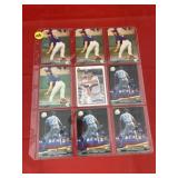 Randy Johnson Baseball Sheet