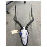 Wild Animal Skull w/Horns on Wood Plaque