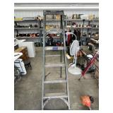 Werner 6ft Folding Ladder