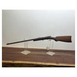 Trail Blazer Single Shot 22
