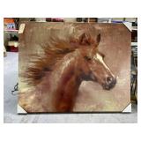 Large Horse Canvas 50'x40'
