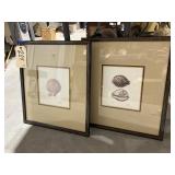 2 - Framed Numbered Ocean Themed Prints
