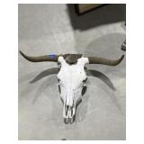 Bull Skull w/Horns