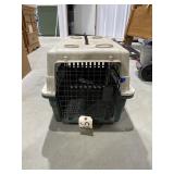Medium Pet Taxi