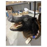 Wild Boar Mount