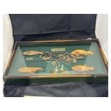 Fishing Shadow Box 20'L x 11'W x 2'H