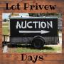 Auction Preview
