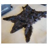 Bear Rug in Case & More