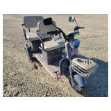 2025 Two Seat Electric Mini Golf Cart