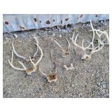 Elk Sheds
