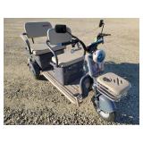 2025 Two Seat Electric Mini Golf Cart
