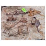 Rare Muskrat Trap & Racoon & Skunk  Traps