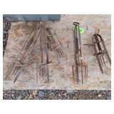 5 - Mole Traps