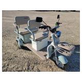 2025 Two Seat Electric  Mini Golf Cart
