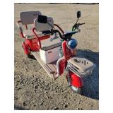 2025 Two Seat Electric  Mini Golf Cart