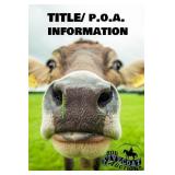 Title and P.O.A. Information