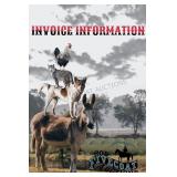 Invoice Information
