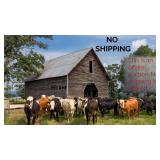 No Shipping for this Auction