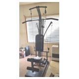 Impex Tech Rod TR-2 Gym & Free Weights