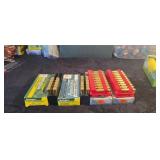 300 Savage Ammunition