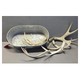 Tub with Seven  Antlers