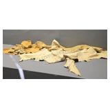 Variety of Deer Hides