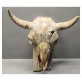 Buffalo Skull