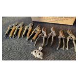 Gardening Nippers & Sprinkler