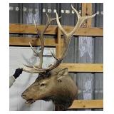 Elk Mount