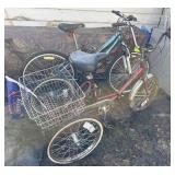 DBX Mountain Bike & Adult Tricycle