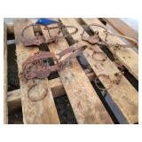 3 - Racoon or Small Animal Traps