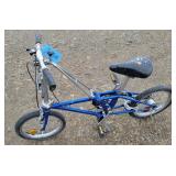 Folding Bike