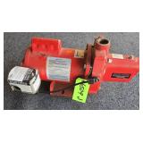 Red Lion Water Pump